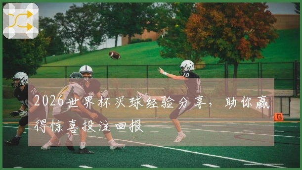 2026世界杯买球经验分享，助你赢得惊喜投注回报