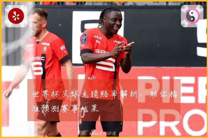 世界杯买球竞猜赔率解析，助你精准预测赛事结果