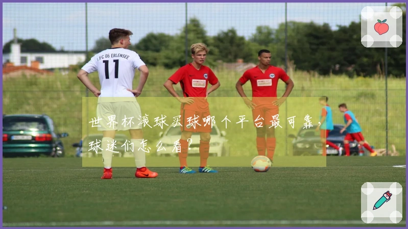 世界杯滚球买球哪个平台最可靠,球迷们怎么看?