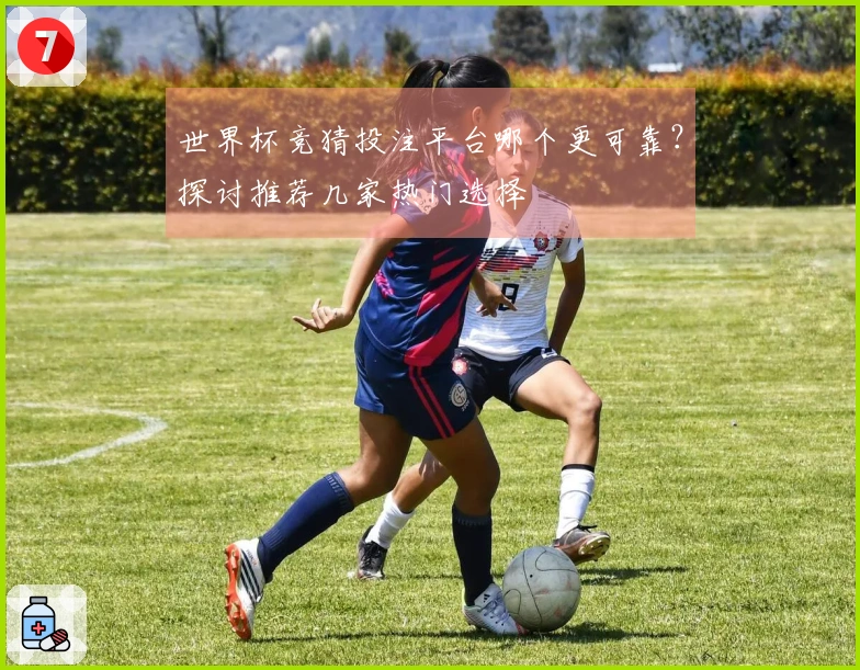 世界杯竞猜投注平台哪个更可靠？探讨推荐几家热门选择