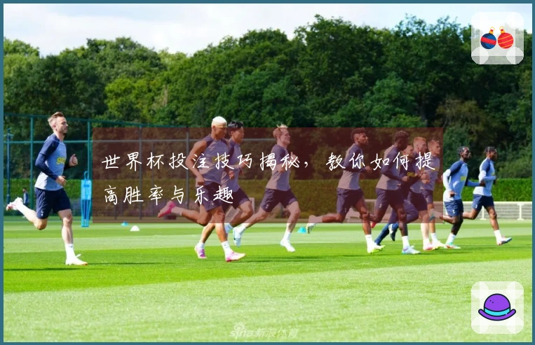 世界杯投注技巧揭秘，教你如何提高胜率与乐趣
