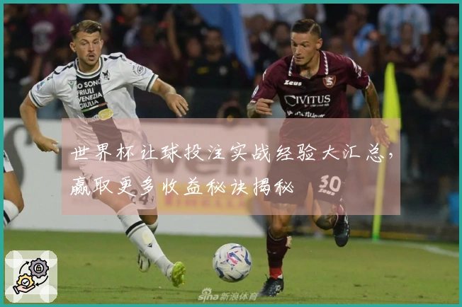 世界杯让球投注实战经验大汇总，赢取更多收益秘诀揭秘