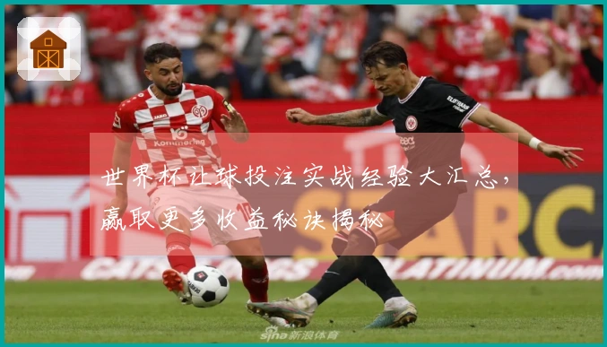 世界杯让球投注实战经验大汇总，赢取更多收益秘诀揭秘