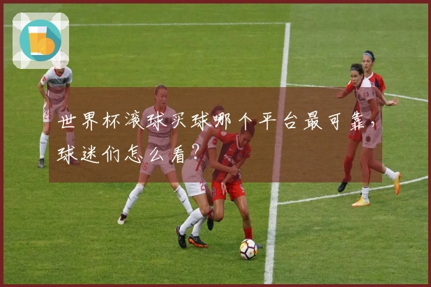 世界杯滚球买球哪个平台最可靠，球迷们怎么看？