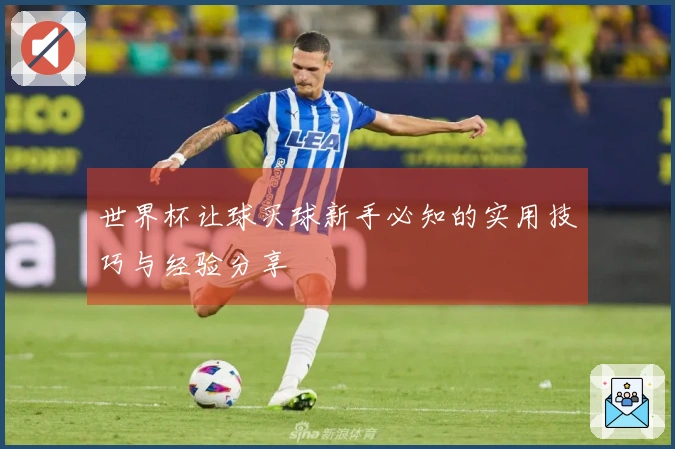 世界杯让球买球新手必知的实用技巧与经验分享