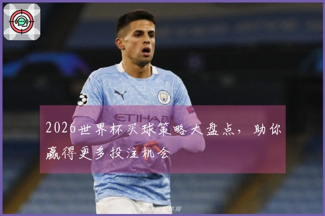 2026世界杯买球策略大盘点，助你赢得更多投注机会