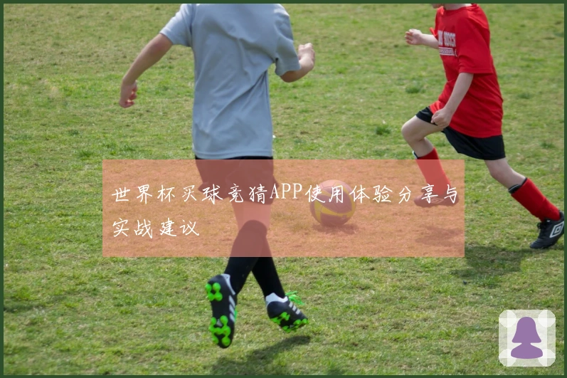 世界杯买球竞猜APP使用体验分享与实战建议