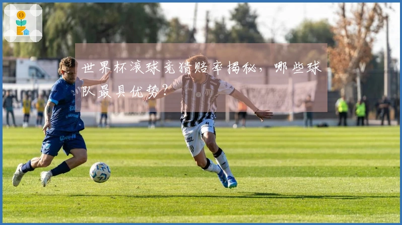 世界杯滚球竞猜赔率揭秘，哪些球队最具优势？