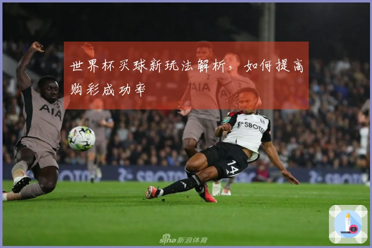 世界杯买球新玩法解析，如何提高购彩成功率