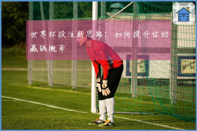 世界杯投注新思路：如何提升你的赢钱概率