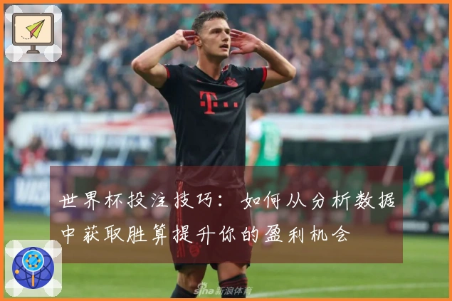世界杯投注技巧：如何从分析数据中获取胜算提升你的盈利机会