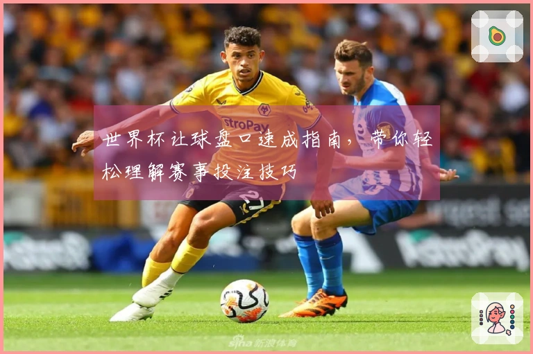 世界杯让球盘口速成指南，带你轻松理解赛事投注技巧