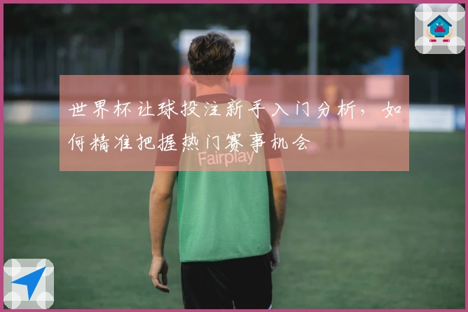 世界杯让球投注新手入门分析，如何精准把握热门赛事机会