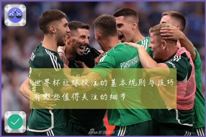 世界杯让球投注的基本规则与技巧有哪些值得关注的细节
