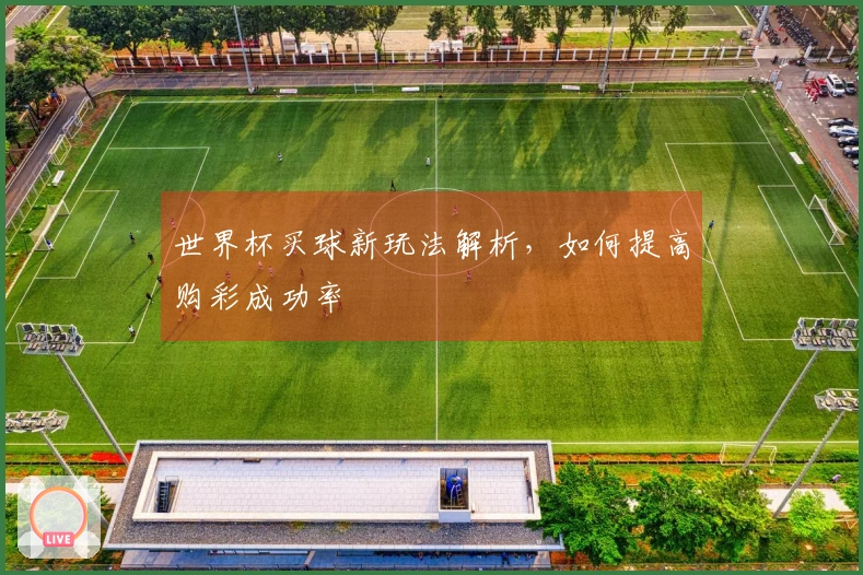 世界杯买球新玩法解析，如何提高购彩成功率