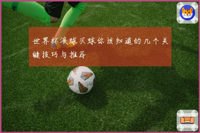 世界杯滚球买球你该知道的几个关键技巧与推荐
