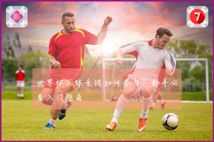 世界杯买球竞猜如何参与？新手必看入门指南