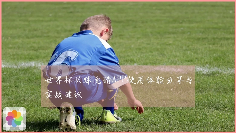 世界杯买球竞猜APP使用体验分享与实战建议